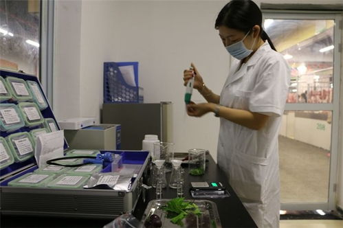 精誠致遠，保障安全 博羅農殘檢測報告的技術服務解讀